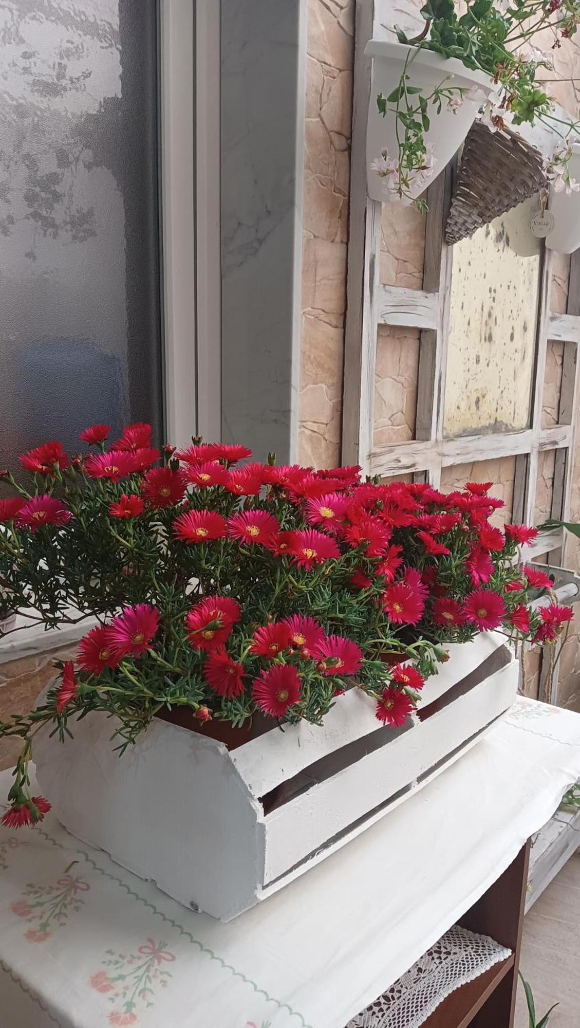 Bed and Breakfast Le 3 Dee Reggio Calabria Camera foto